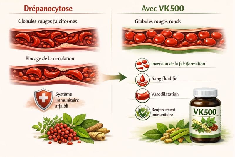 Schéma explicatif des actions du VK500